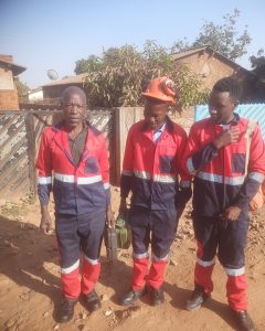 Why Professional Tree Cutting Services Matter in Harare